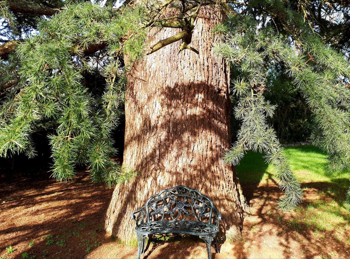Domaine De Garat Bed and Breakfast Floirac  Eksteriør billede